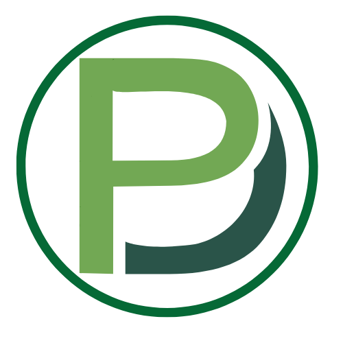 ?php echo get_bloginfo( 'name' ); ?>